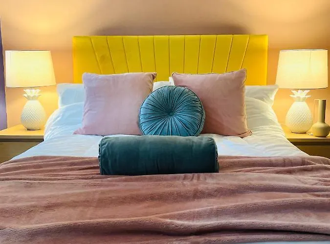 Muller * 布里斯托